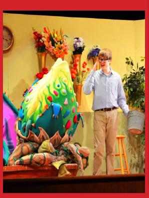 �������ֶ��������