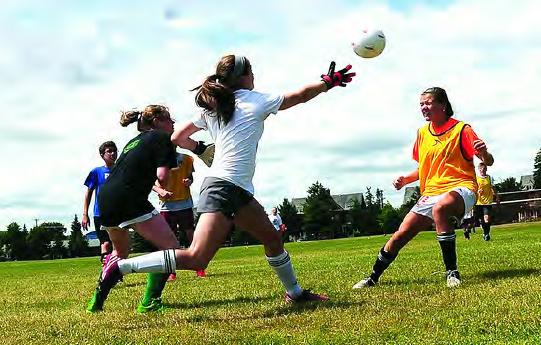 �������ֶ��������